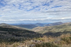 IMG_3147
