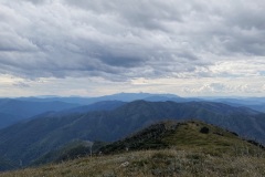 IMG_3179