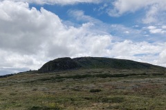 IMG_3184
