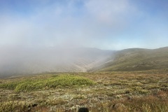 IMG_3193