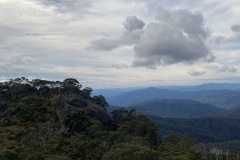 IMG_3209