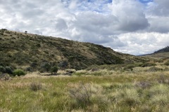 IMG_3275