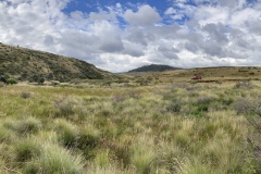 IMG_3276