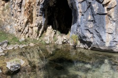 IMG_3281