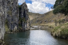 IMG_3284