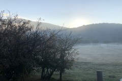 IMG_7977