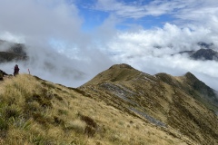 IMG_7541