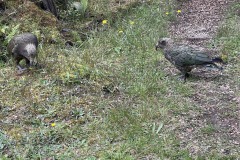 IMG_7599