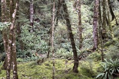 IMG_7617