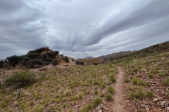 Larapinta Track June 2023