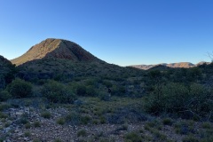 IMG_6011