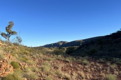 IMG_6013