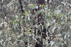 IMG_6116