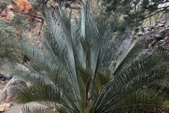 IMG_6122