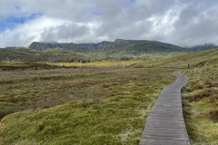 IMG_5097