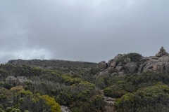 IMG_5153