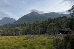 IMG_5184