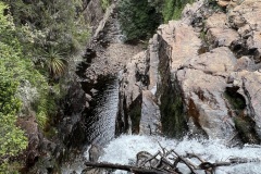 IMG_5205