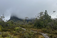 IMG_5217