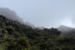 IMG_5220