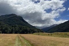IMG_7130