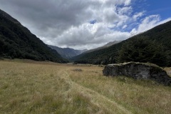 IMG_7135