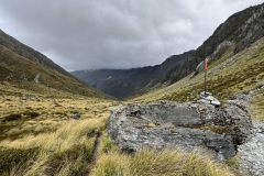 IMG_7155