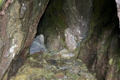 IMG_7161