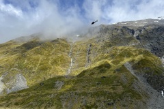IMG_7187