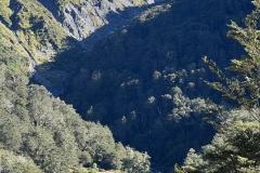 IMG_7224