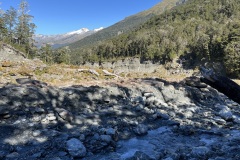 IMG_7231
