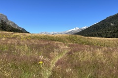 IMG_7238