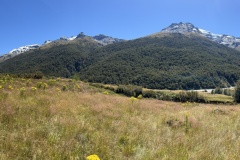 IMG_7252