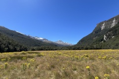 IMG_7260