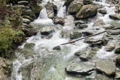 Routeburn Track February 2024