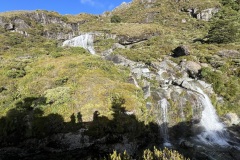 IMG_7366