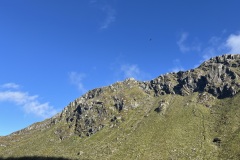 IMG_7373