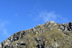 IMG_7374