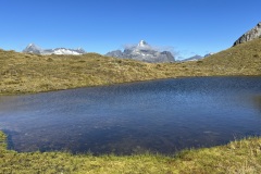 IMG_7394