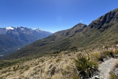 IMG_7431