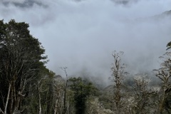 IMG_7461