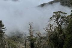 IMG_7462
