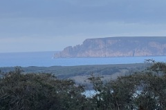 IMG_4964