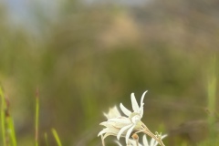 IMG_4739