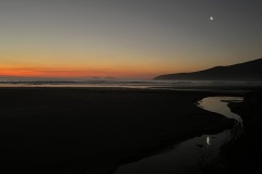 IMG_5590